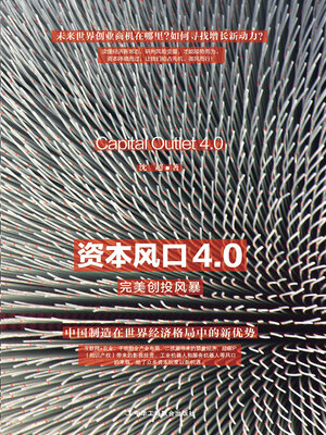 cover image of 资本风口4.0